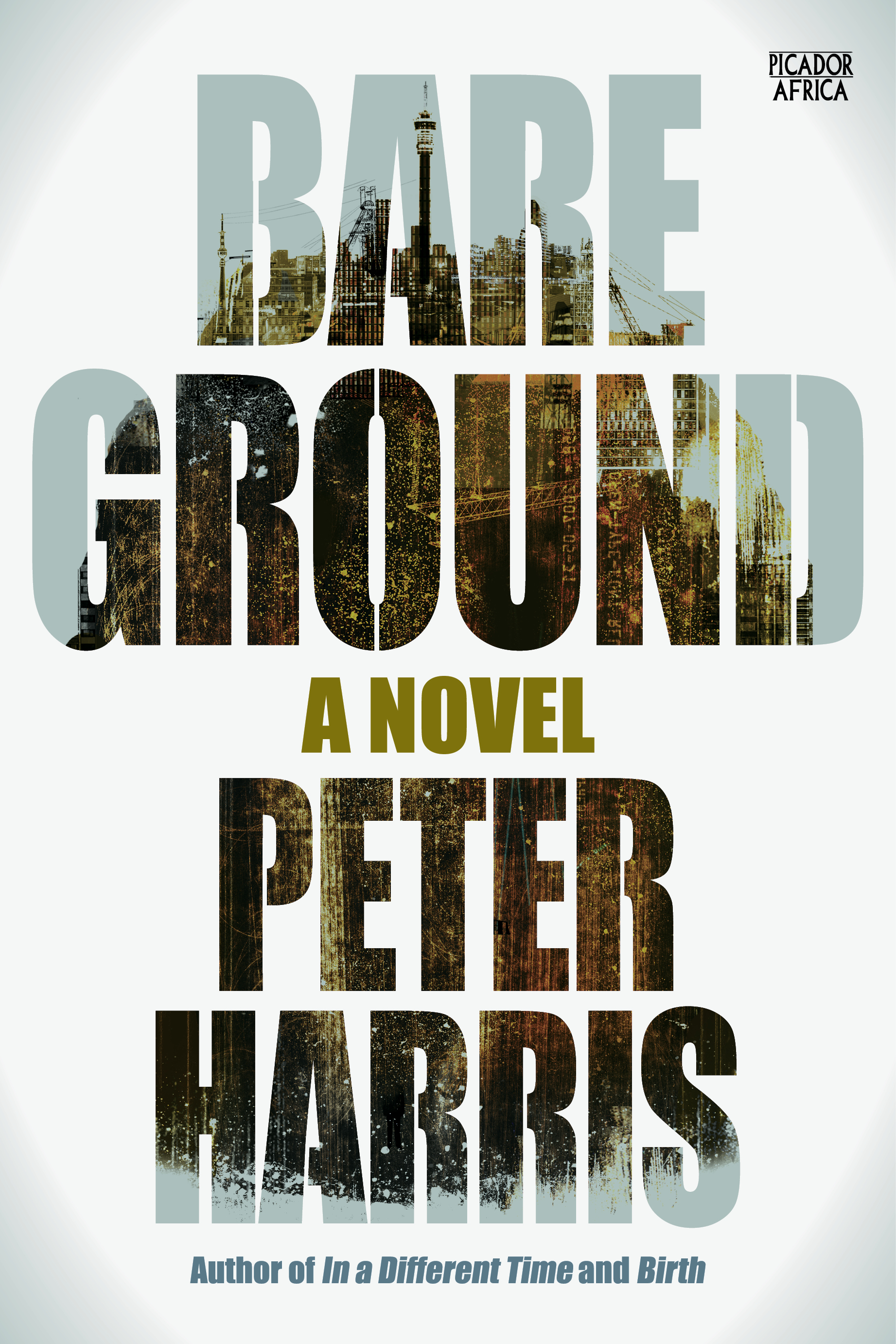 Bare Ground book cover
