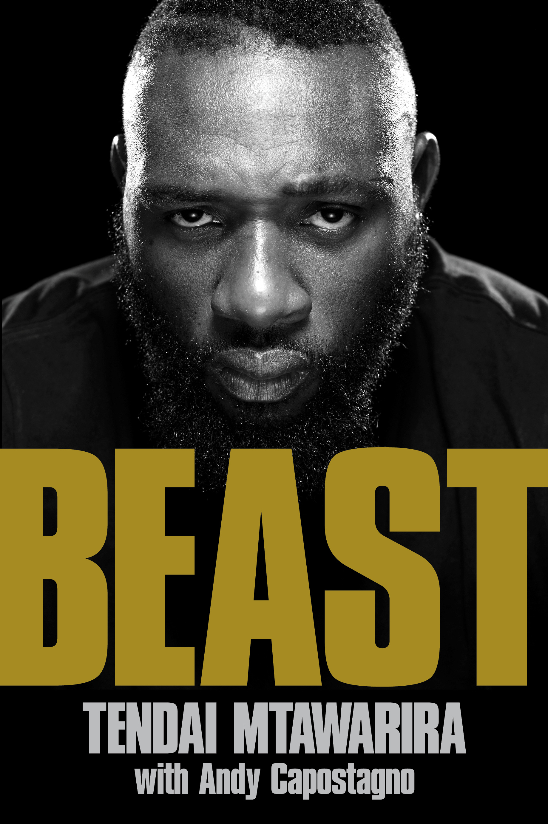 Beast book cover