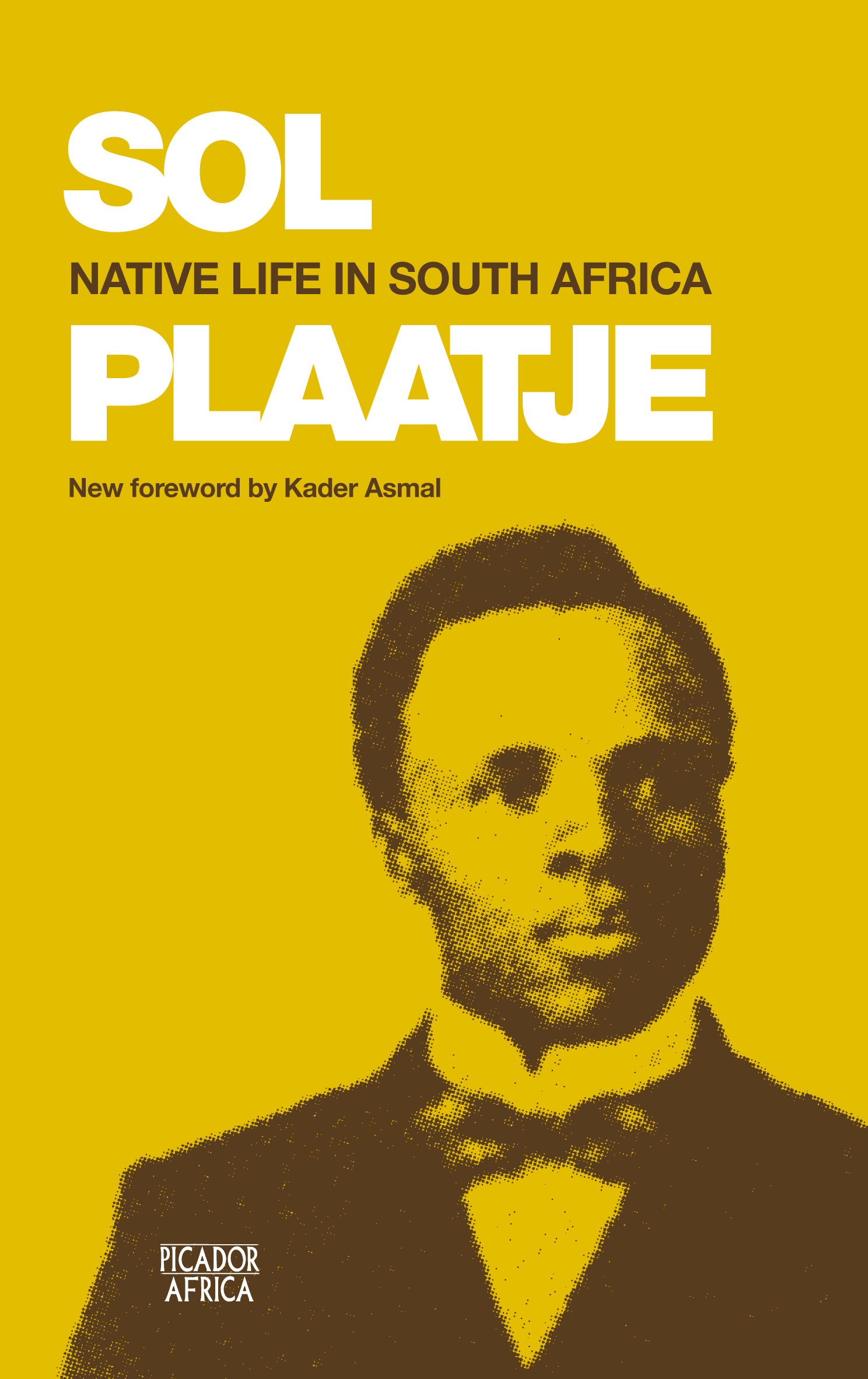 Book cover for Native Life In South Africa