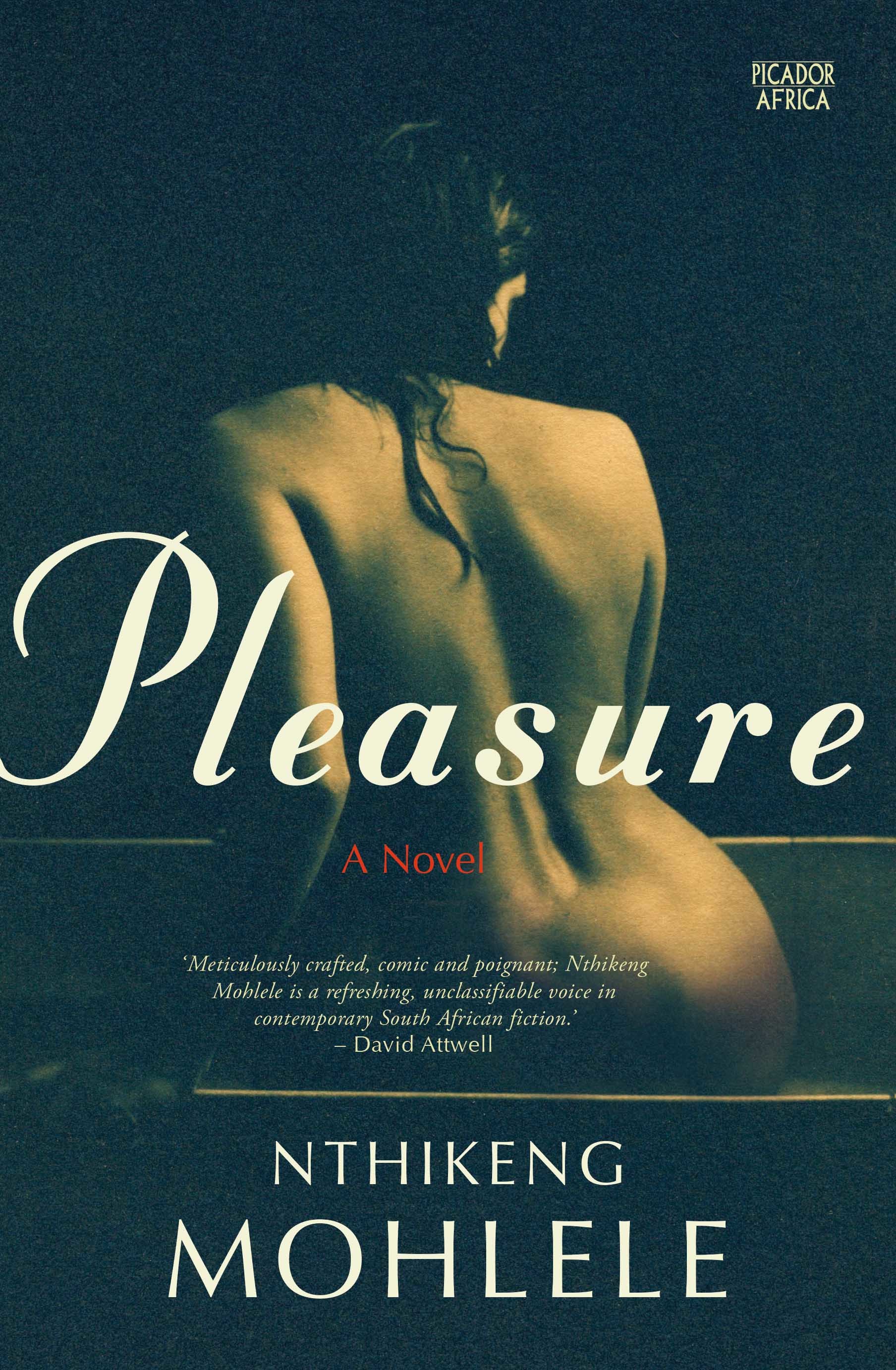 Pleasure book cover