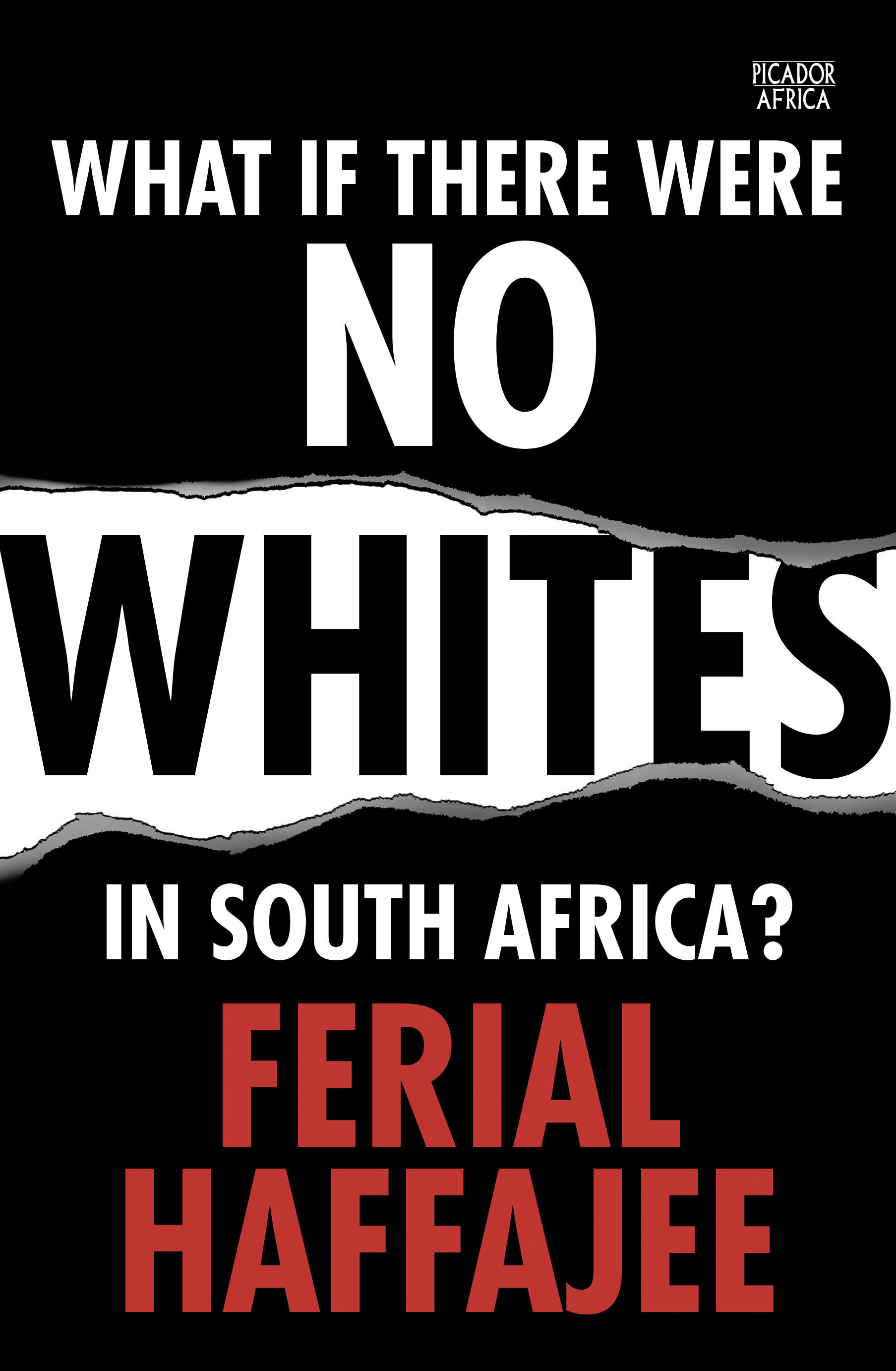 Book cover for What if there were no whites in South Africa?