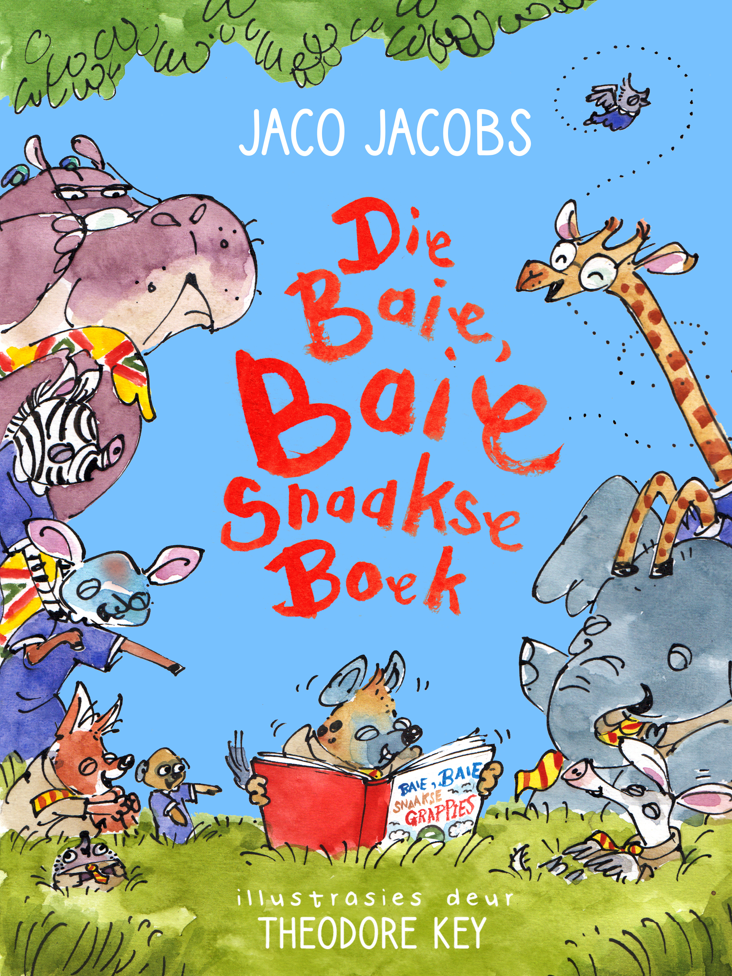 Die Baie Baie Snaakse Boek book cover