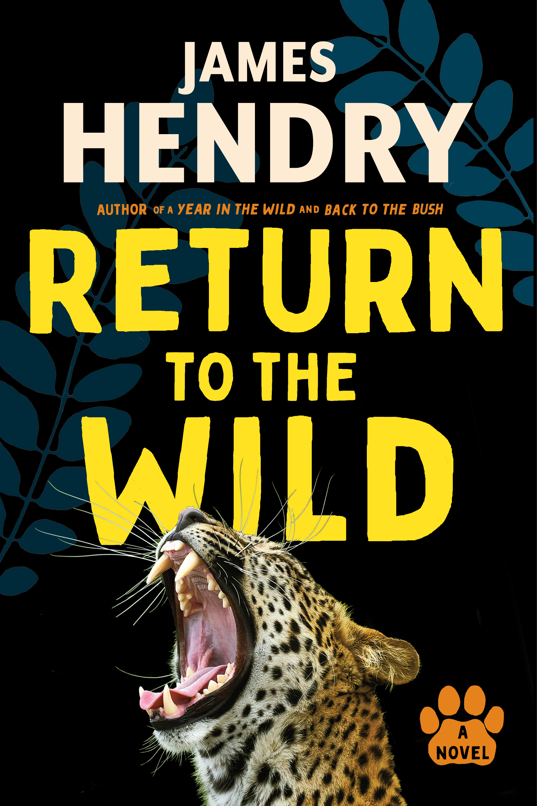 Book cover for Return to the Wild