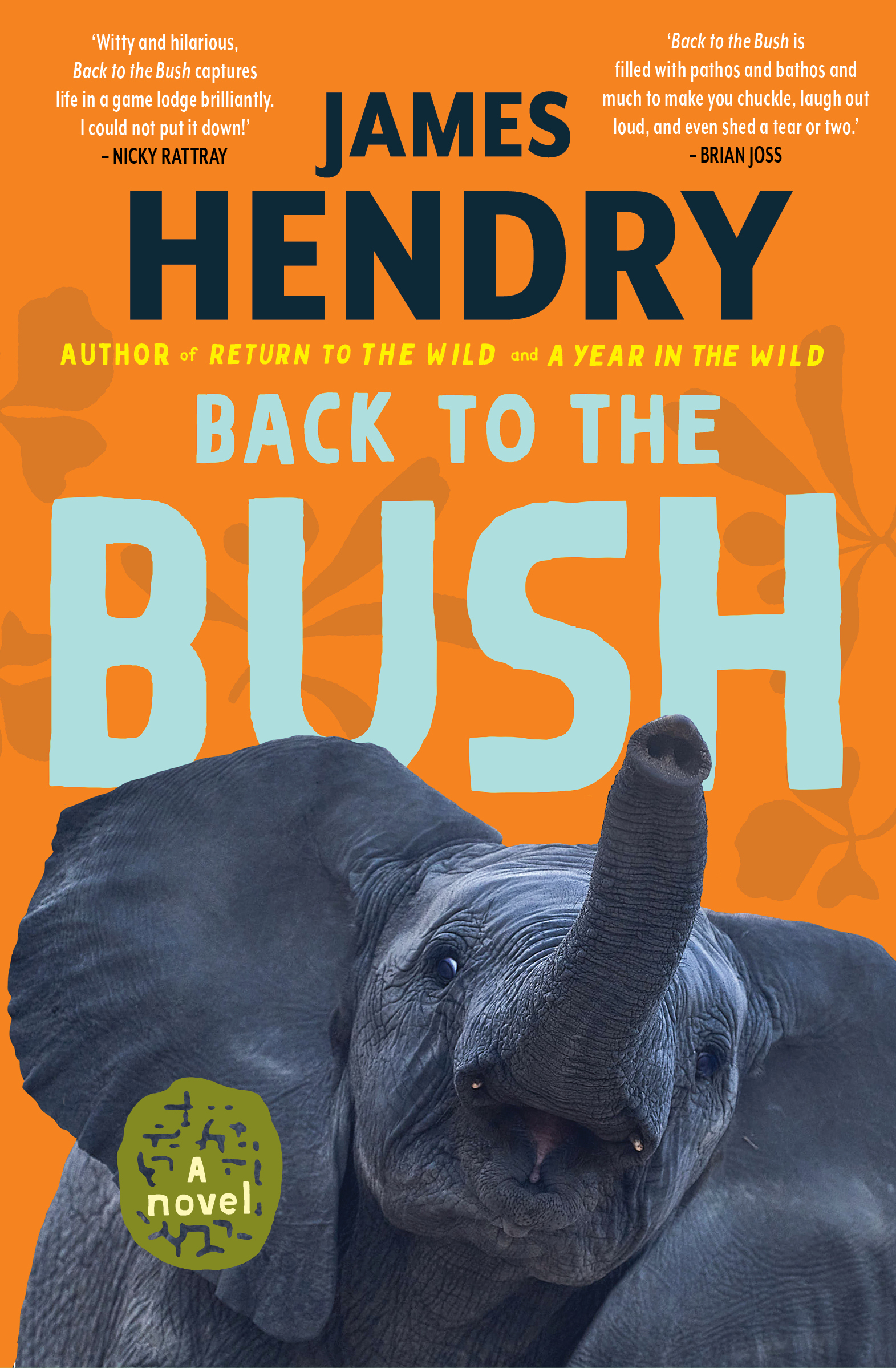 Book cover for Back to the Bush