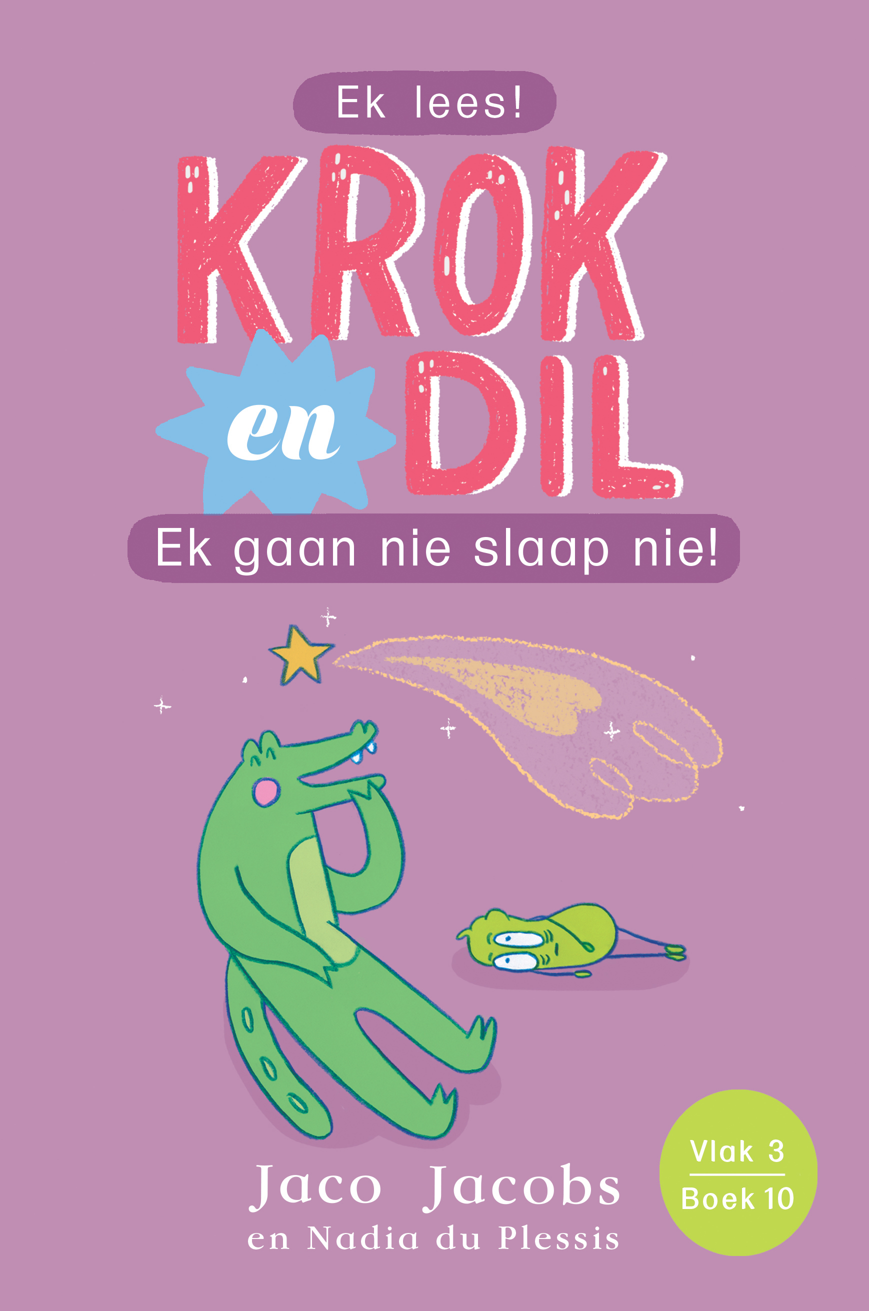 Krok en Dil Vlak 3 Boek 10 book cover