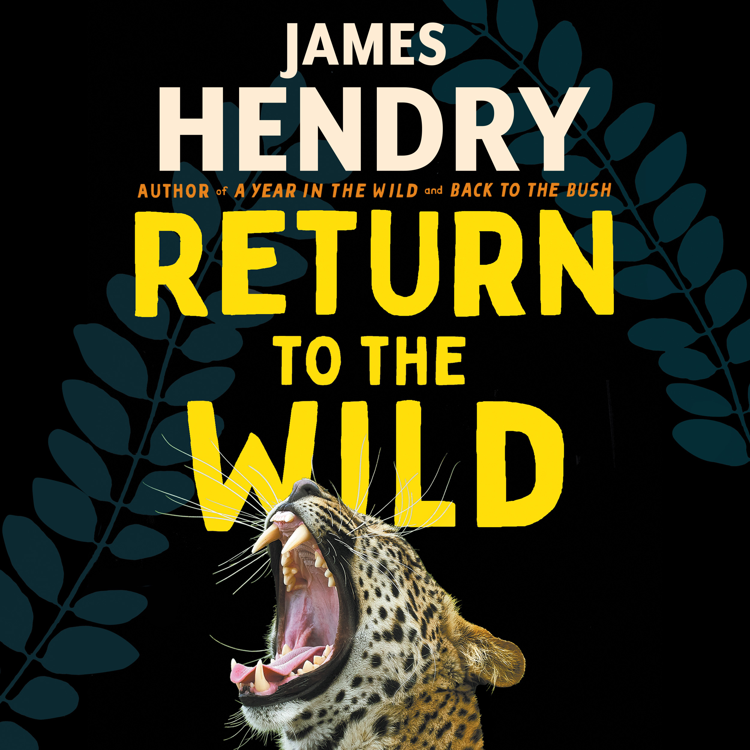 Book cover for Return to the Wild