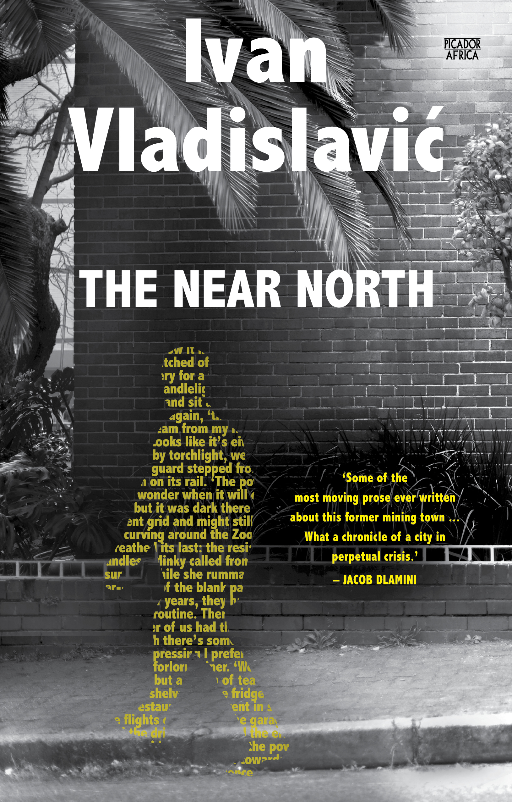 The Near North book cover