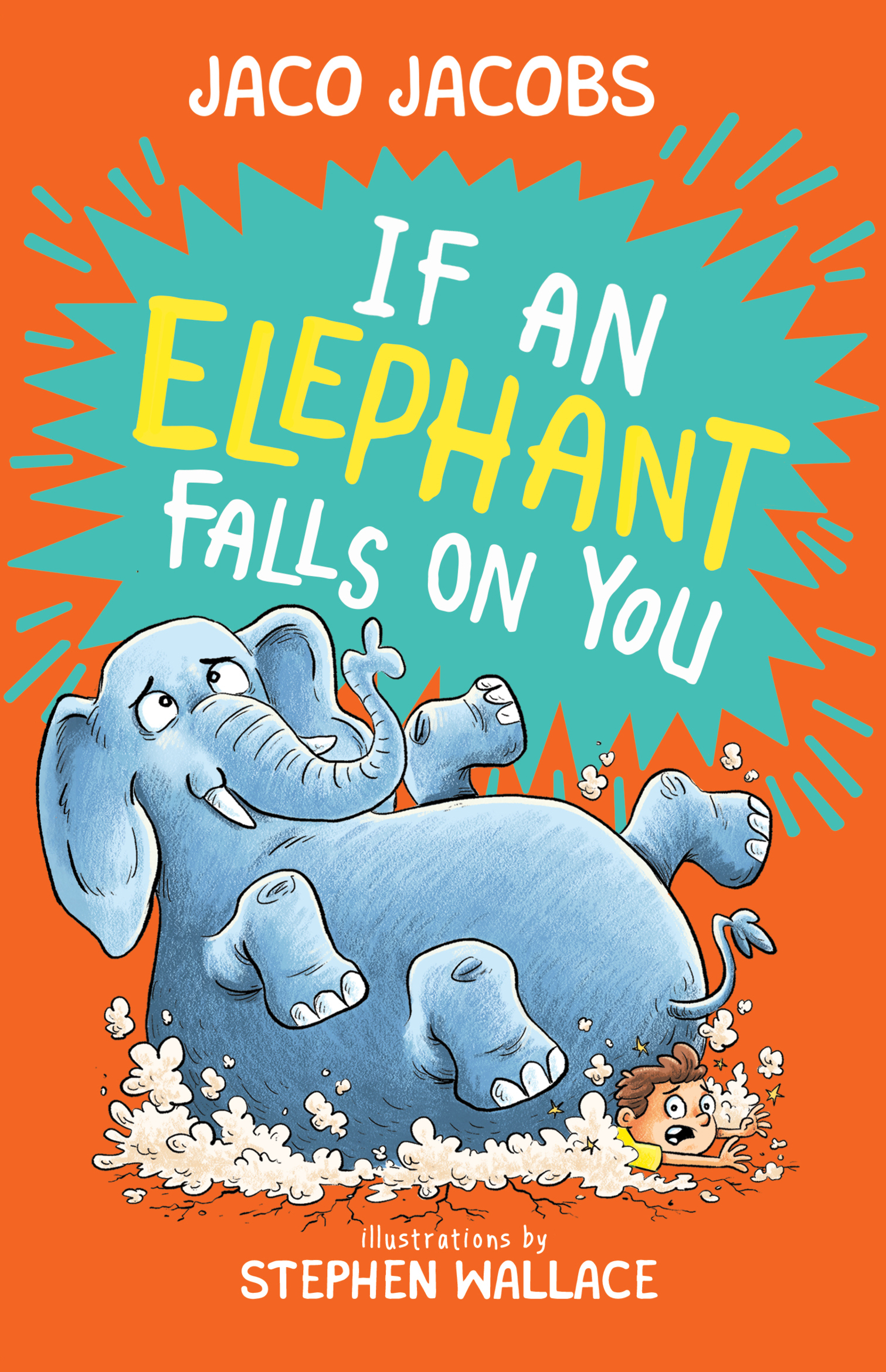 If an Elephant Falls on You book cover
