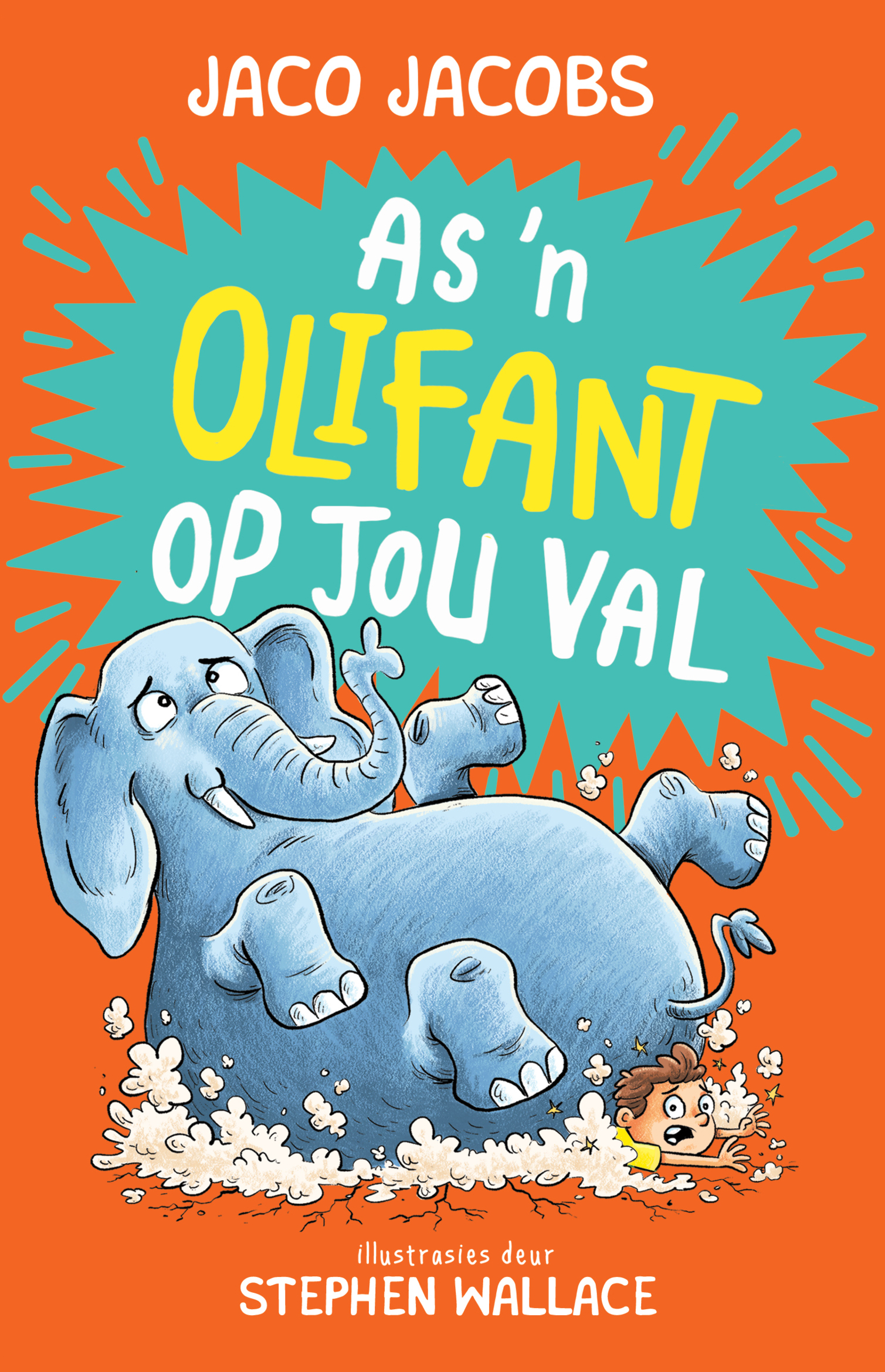 As 'n Olifant op jou Val book cover