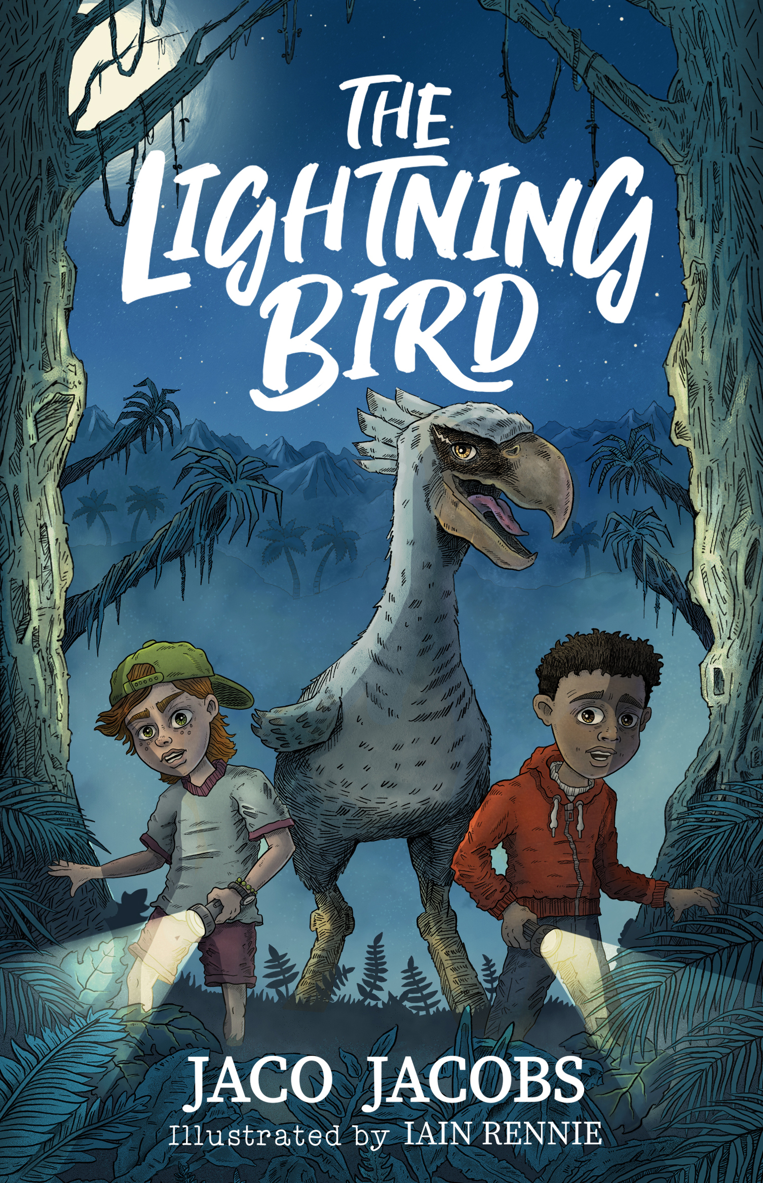 Book cover for The Lightning Bird