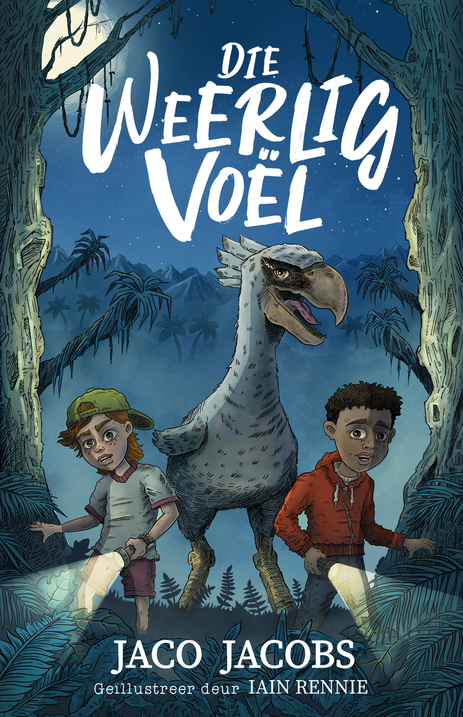 Book cover for Die Weerligvoël