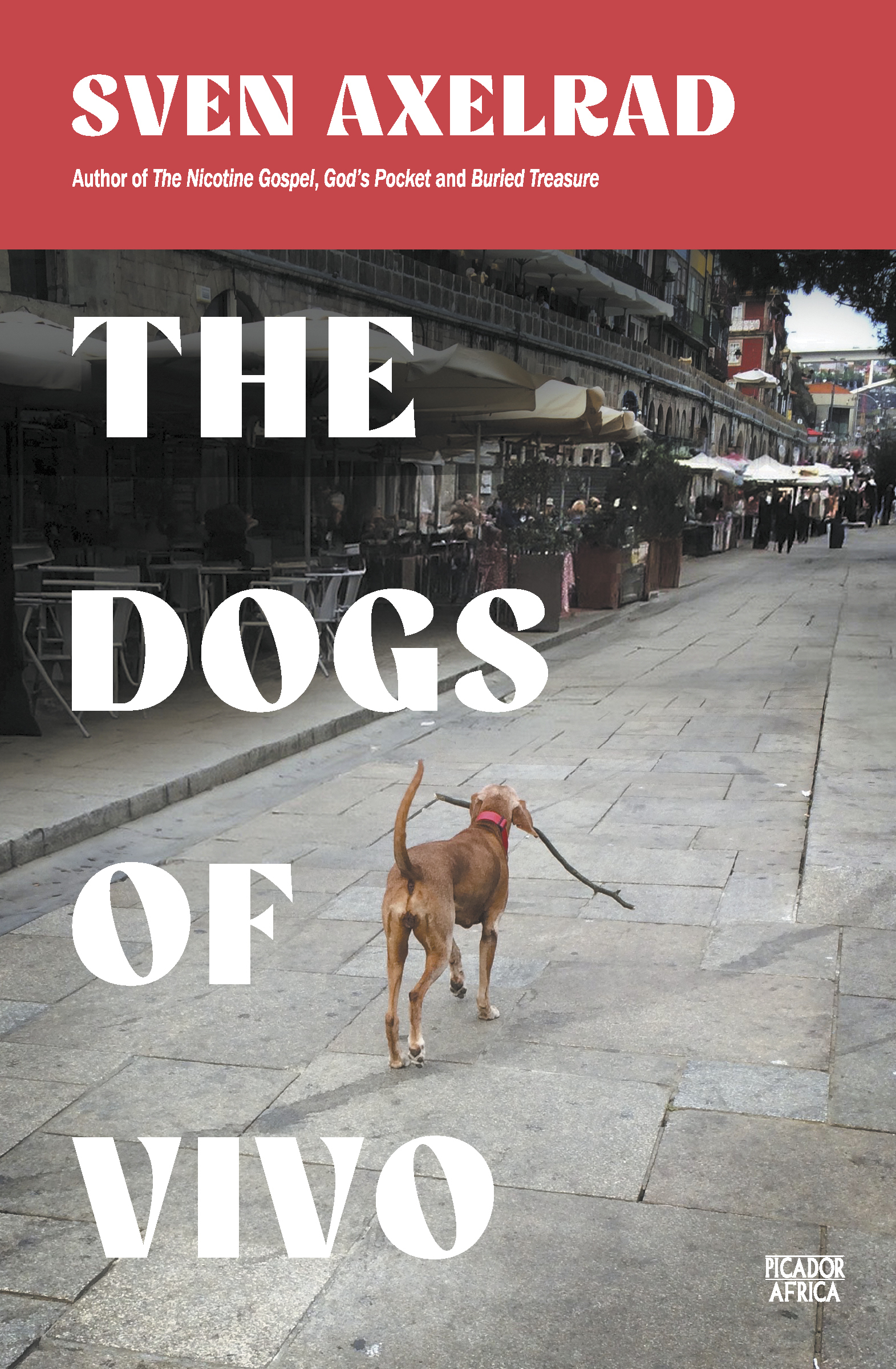 Book cover for The Dogs of Vivo