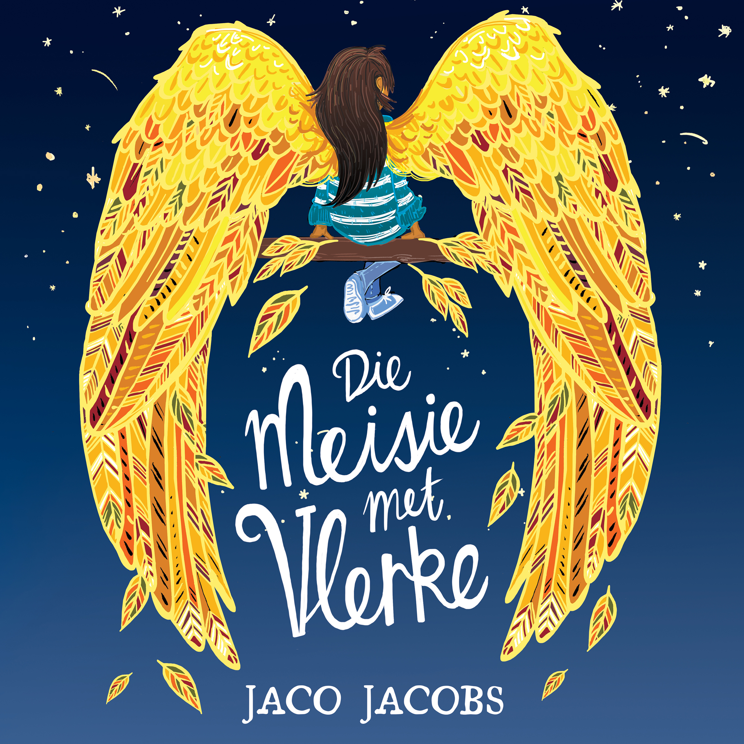 Die Meisie met Vlerke book cover