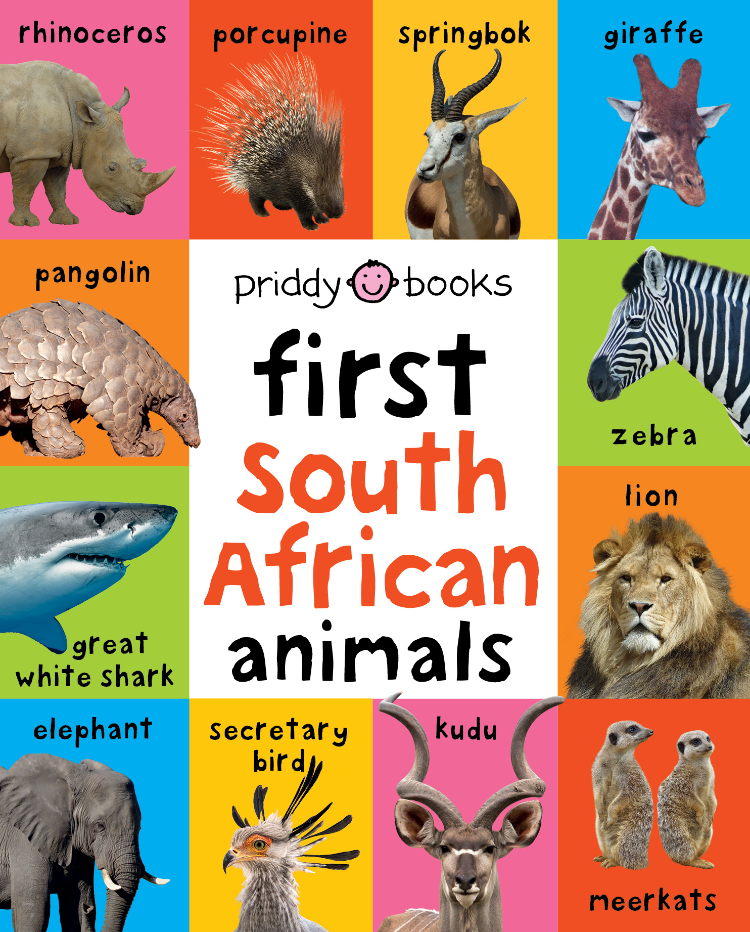 Book cover for First South African Animals