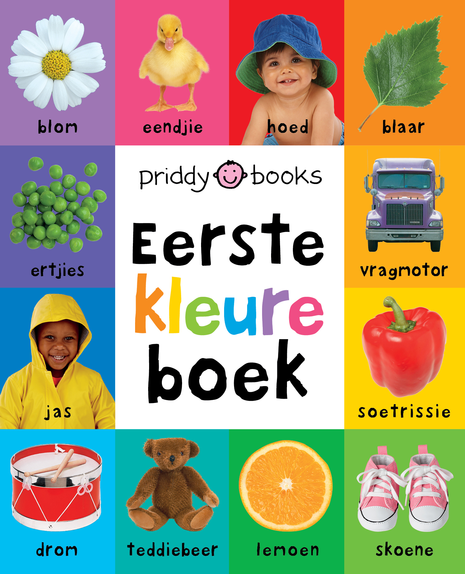 Eerste kleureboek book cover