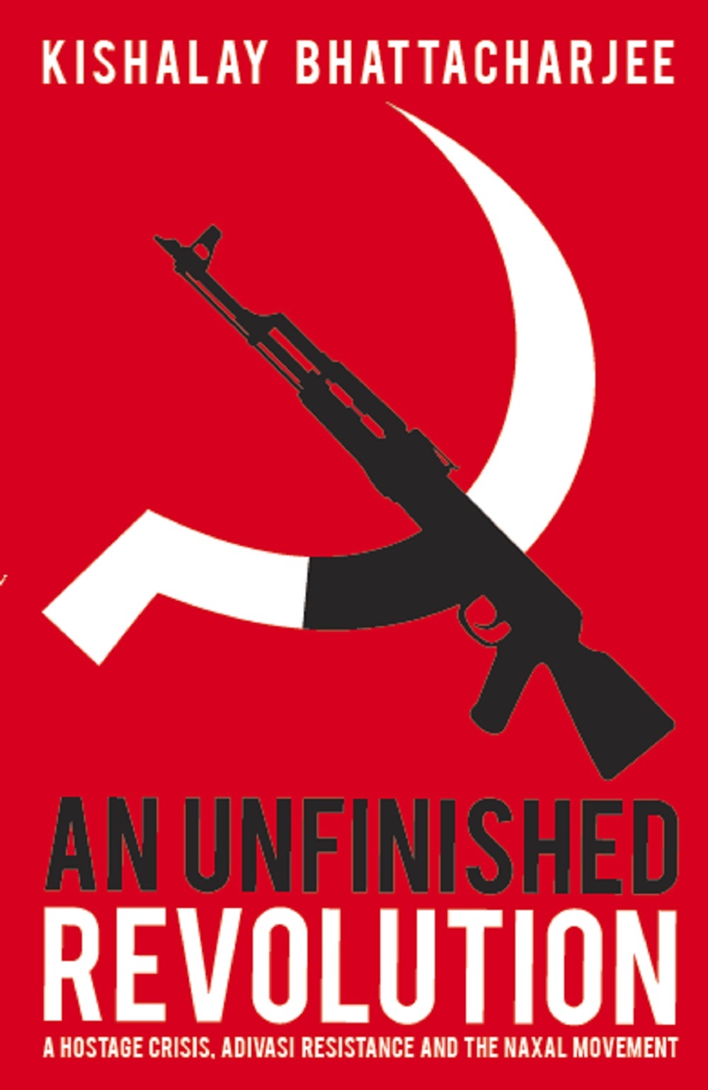 Book cover for An Unfinished Revolution