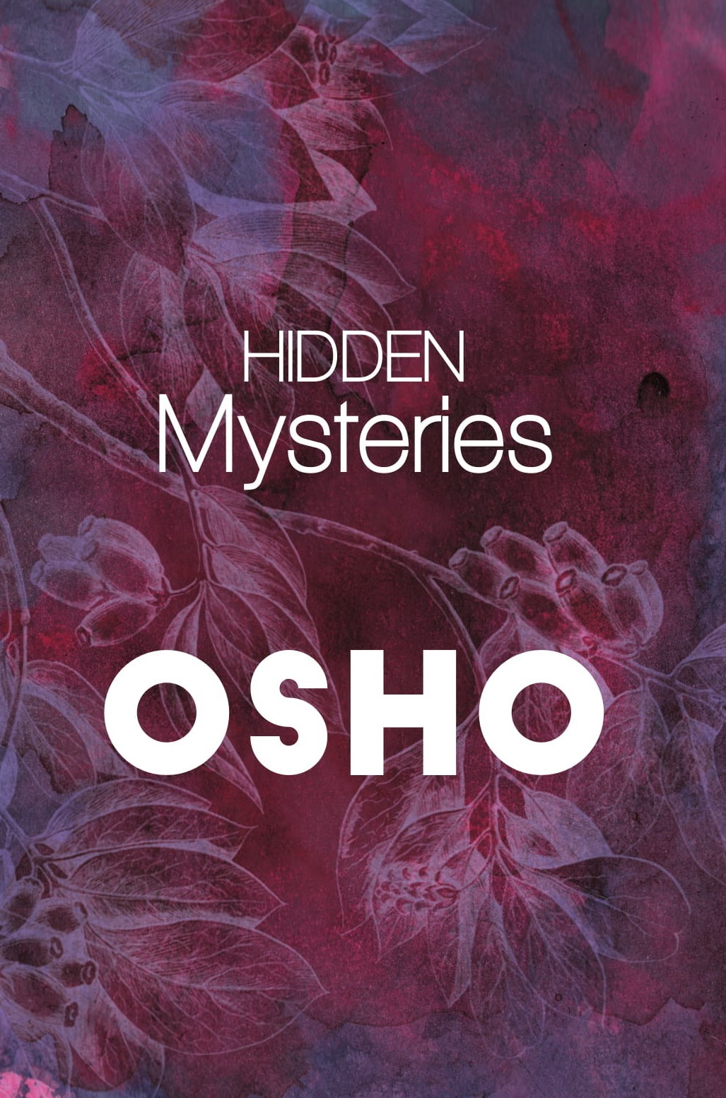 Book cover for Hidden Mysteries