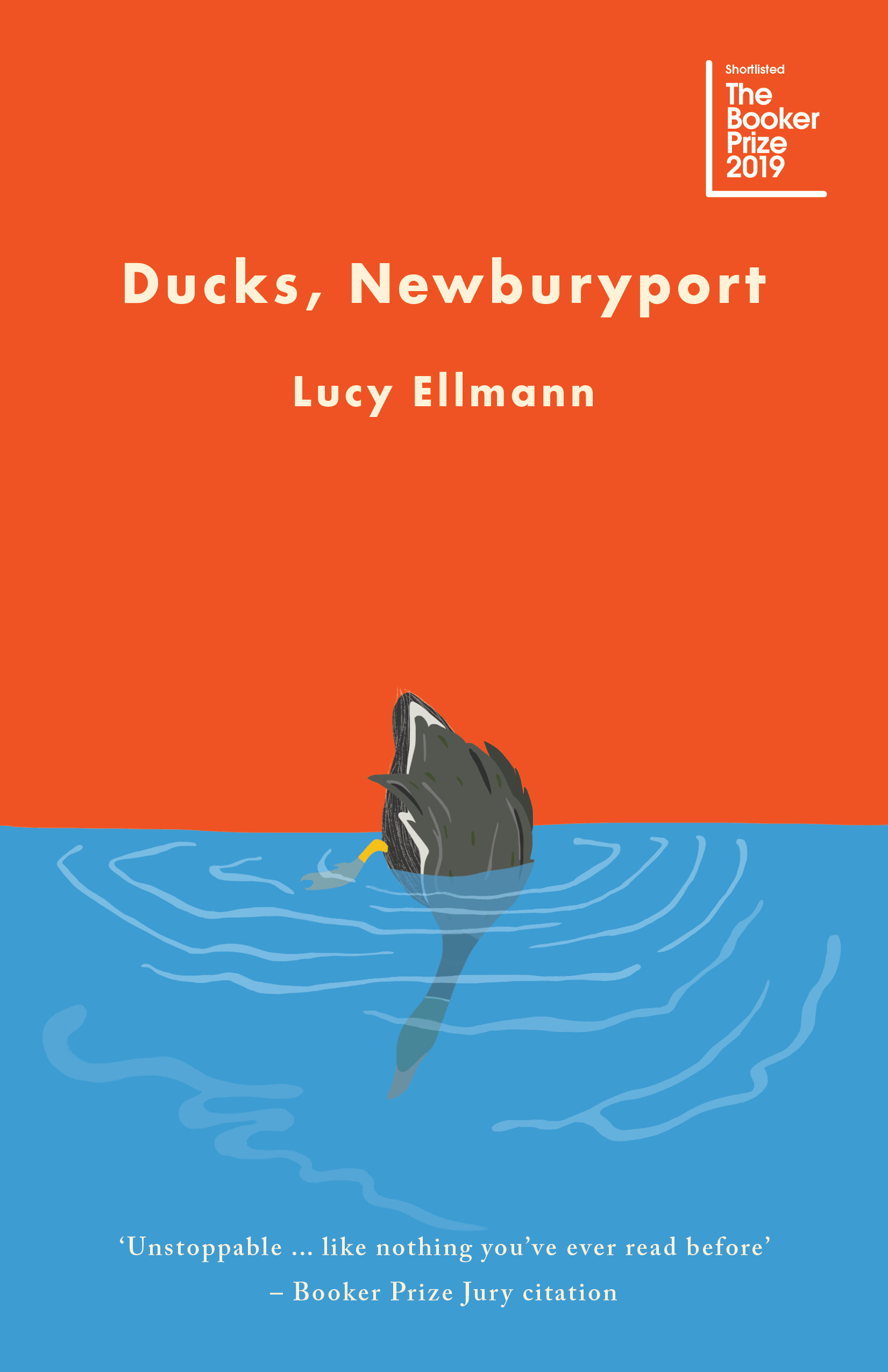 Book cover for Ducks, Newburyport