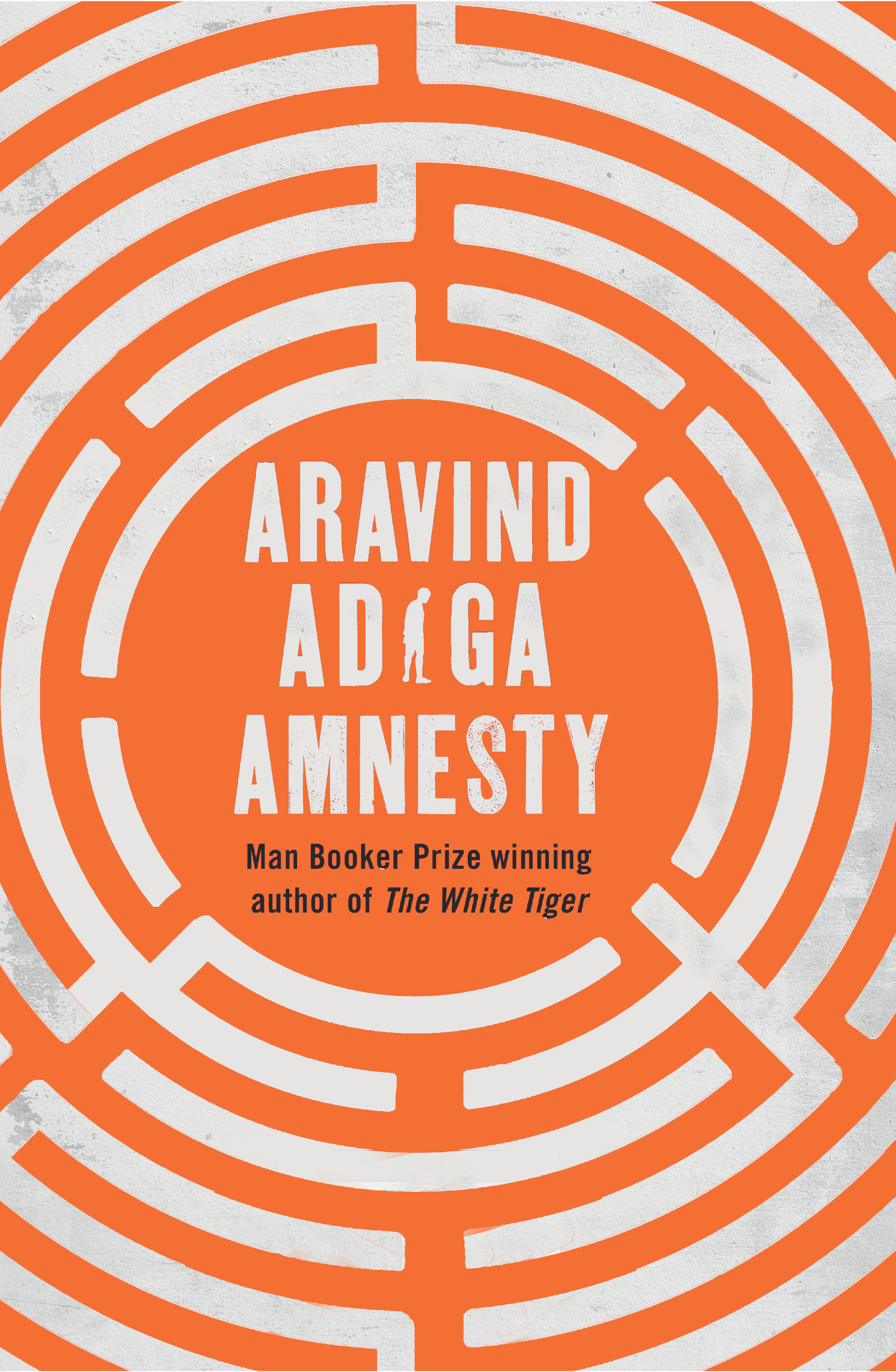 Book cover for Amnesty