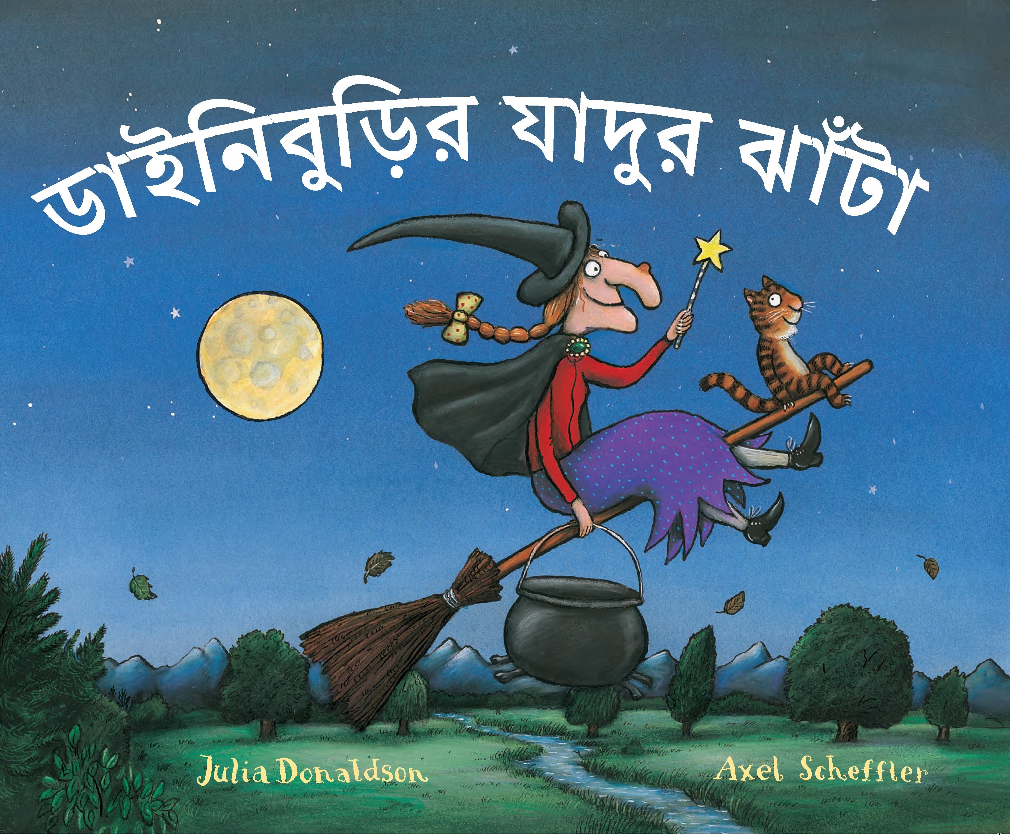 Book cover for Room on the Broom (Bengali)