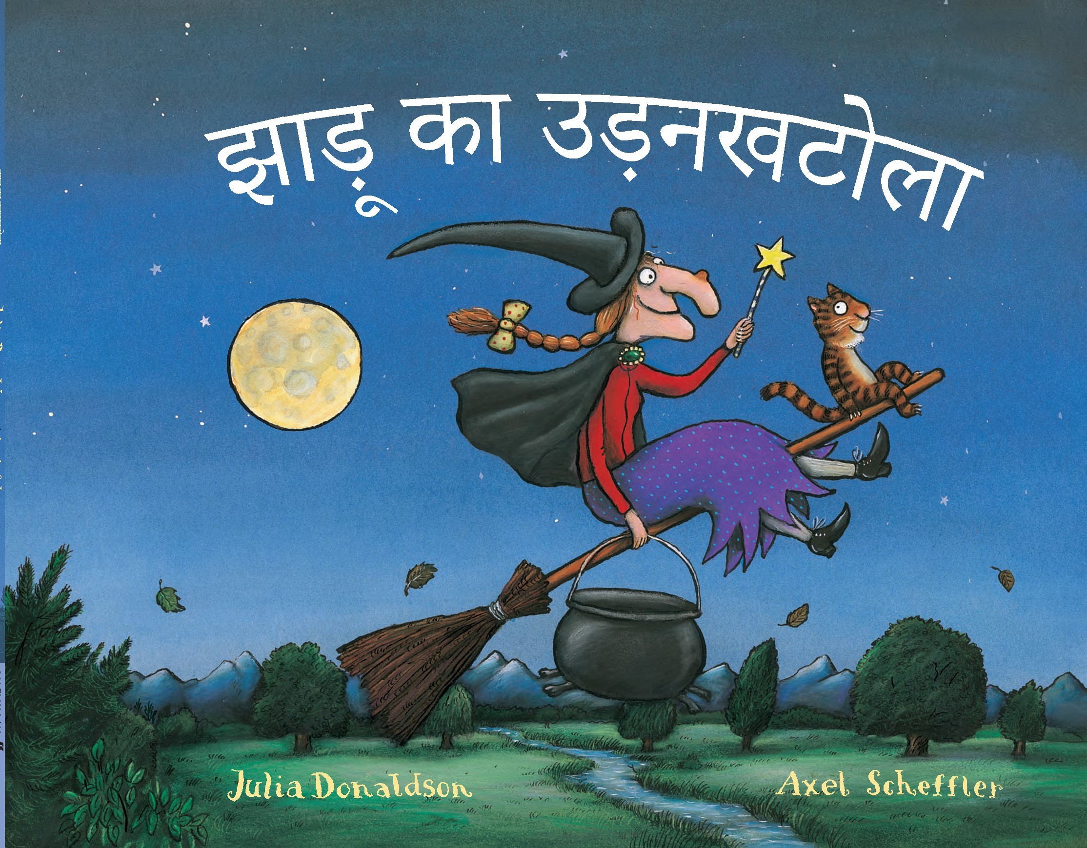 Book cover for Room on the Broom (Hindi)