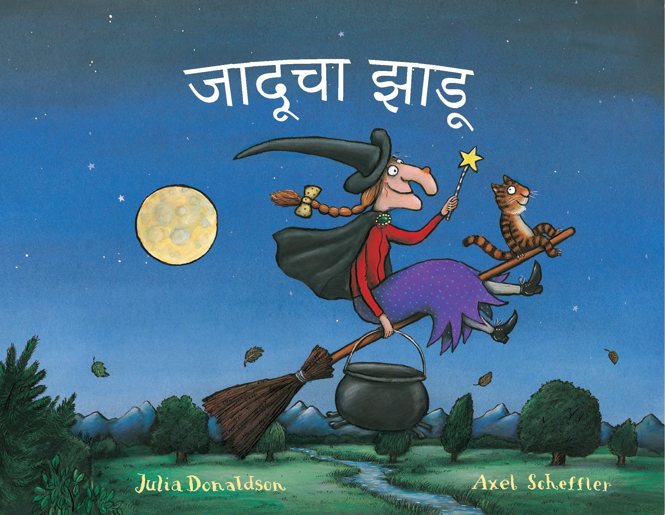 Book cover for Room on the Broom (Marathi)