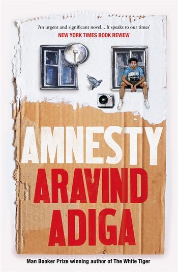 Book cover for Amnesty
