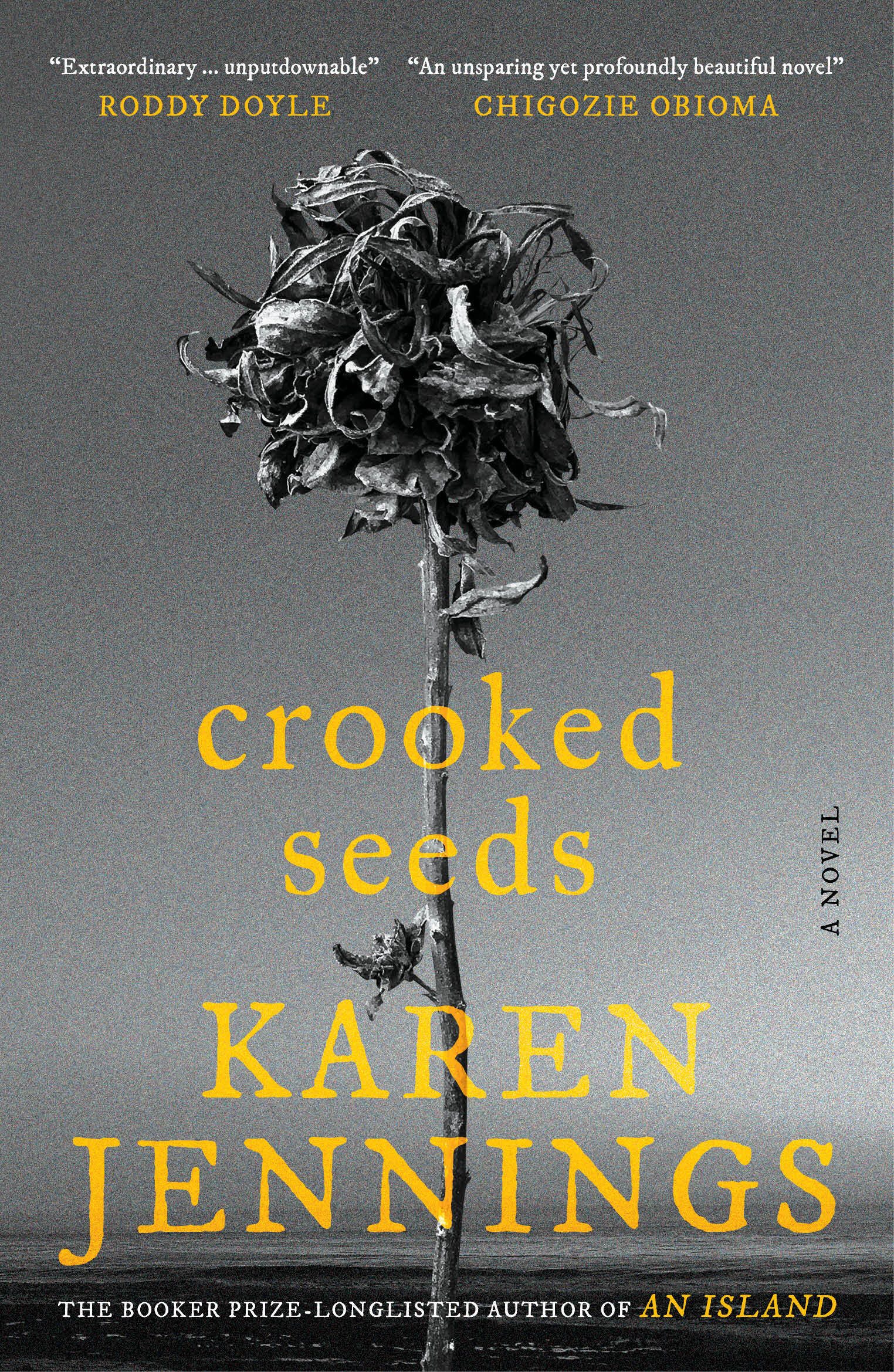 Book cover for Crooked Seeds