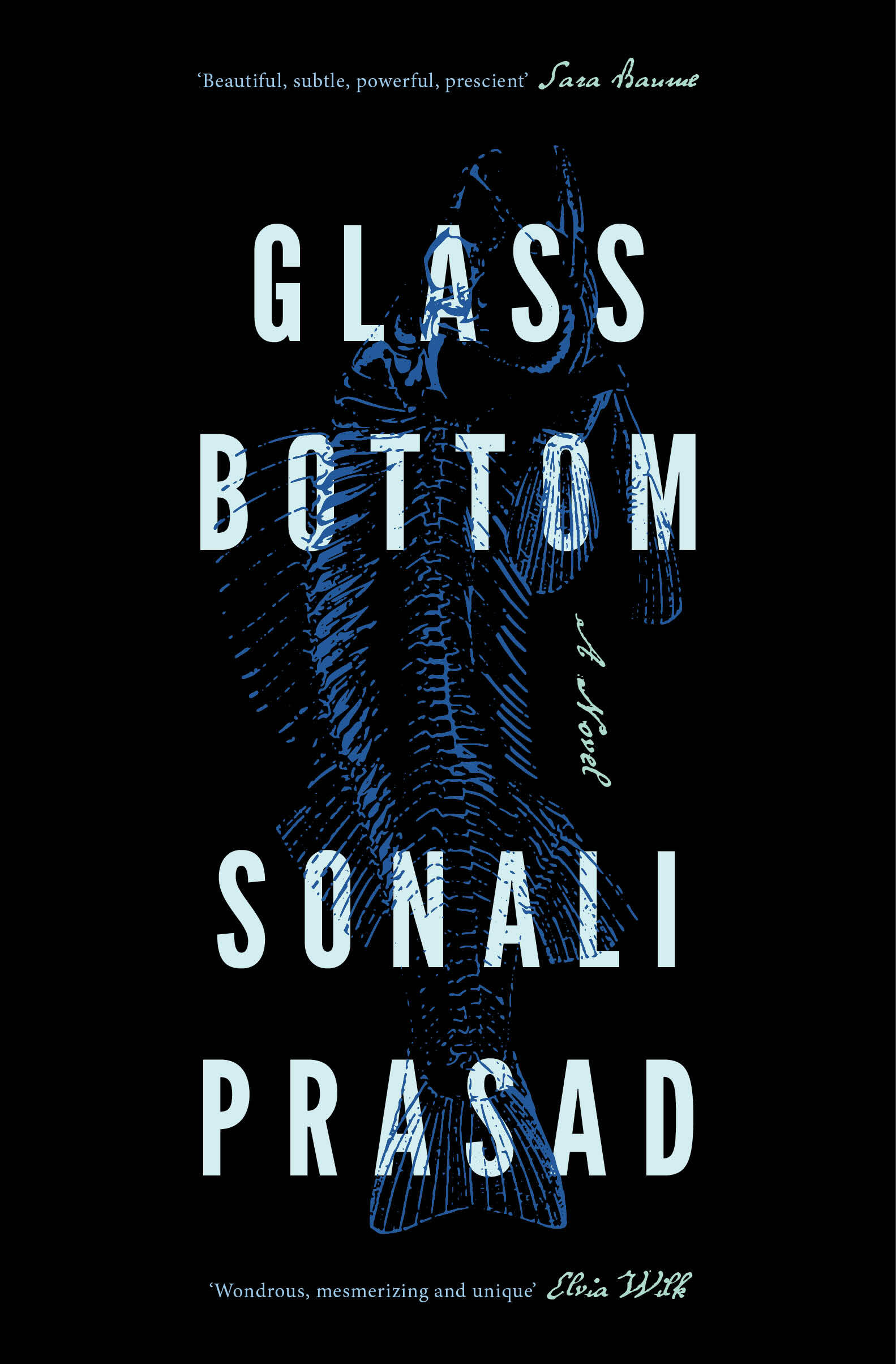 Book cover for Glass Bottom: A luminous climate fiction for fans of Amitav Ghosh and Richard Powers
