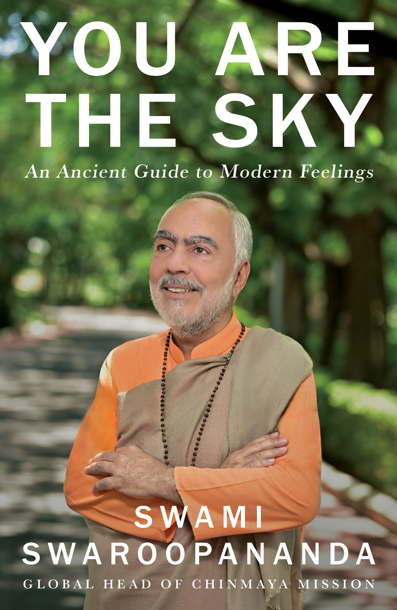 Book cover for You Are The Sky
